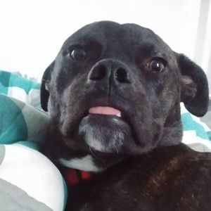 Meet your Posher, Cole